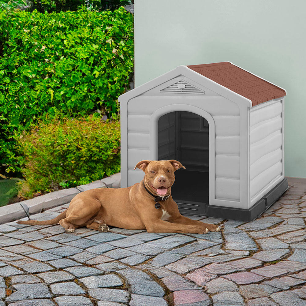 Combo Mascota, 1 Casa Razas Medianas y Grandes, 1 Caja Multiusos 12 Litros img #2