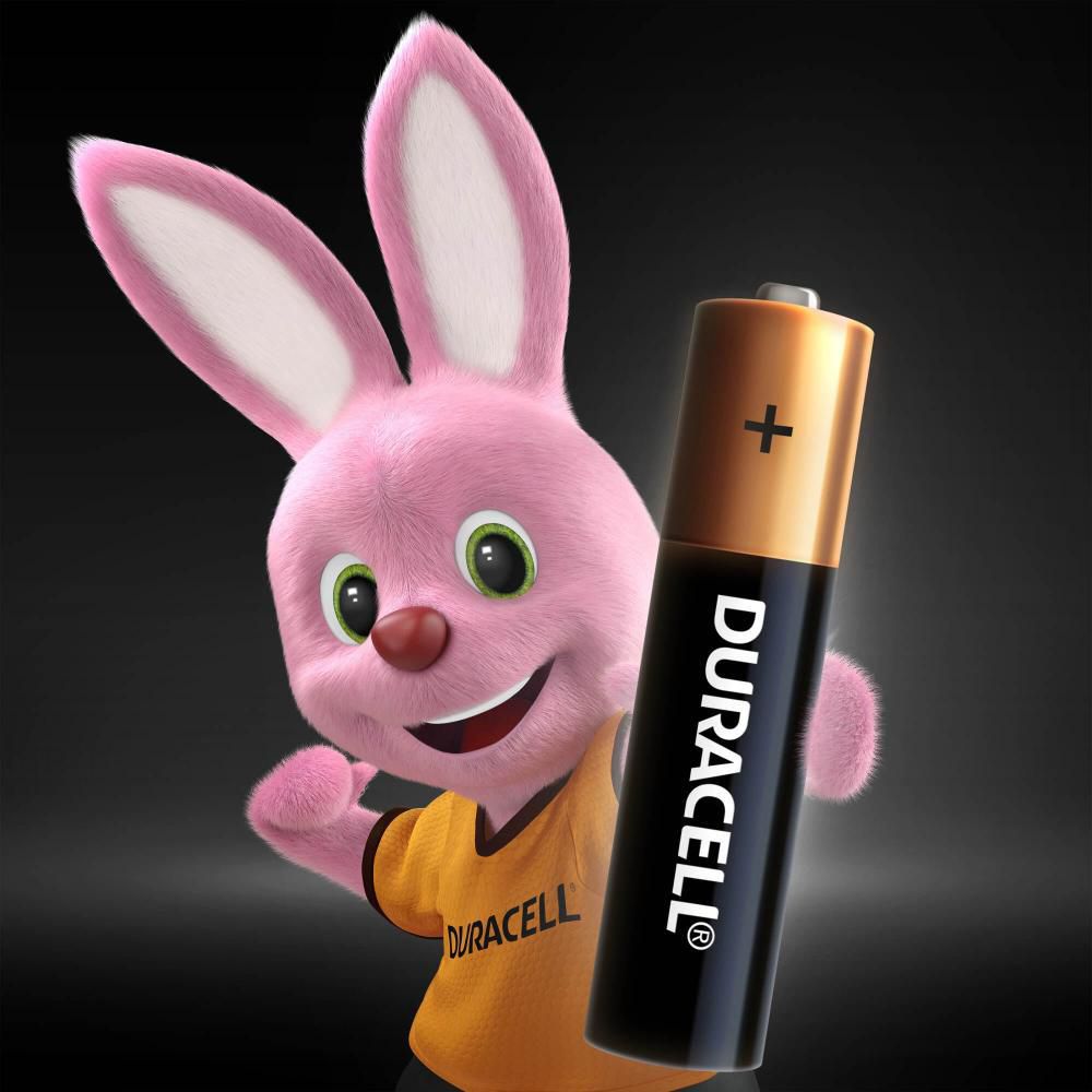 Pilas Duracell AAA X 2 Unidades   DURACELL 89103 img #5
