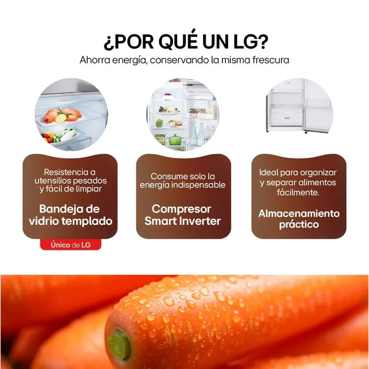 Nevera LG No Frost Congelador Superior 266 Litros LinearCooling VT26BPY Plata img #8
