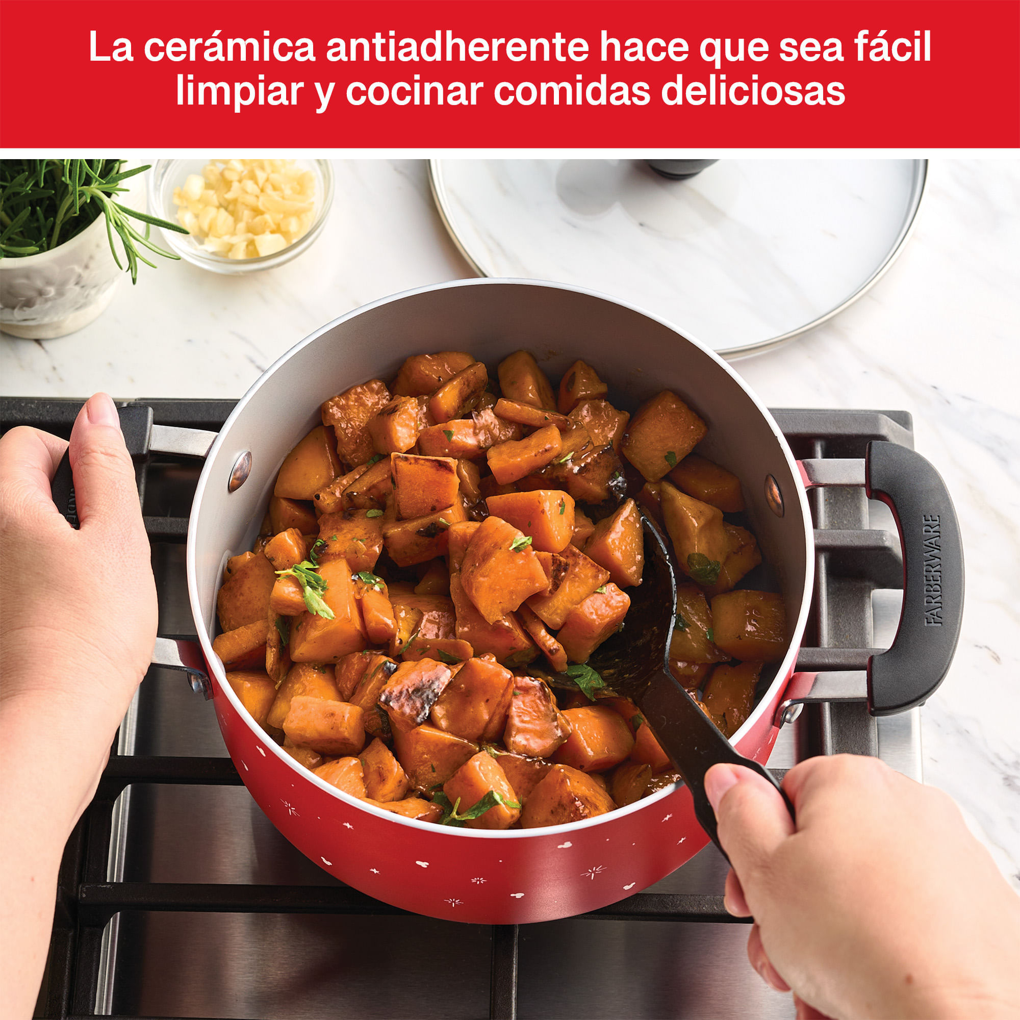 Olla con tapa, antiadherente cerámico. Colección Disney  Bon Voyage. Farberware img #6
