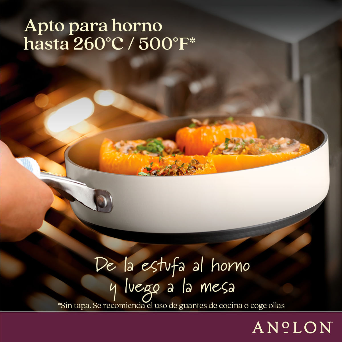 Olla 20cm con tapa de vidrio templado, anodizado duro antiadherente. Archieve Anolon img #7