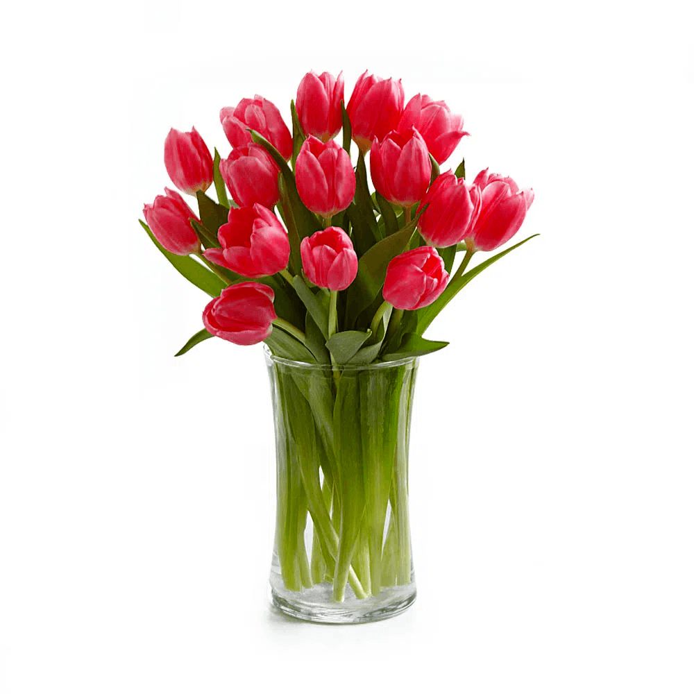 Jarrón 15 Tulipanes Fucsia img #1