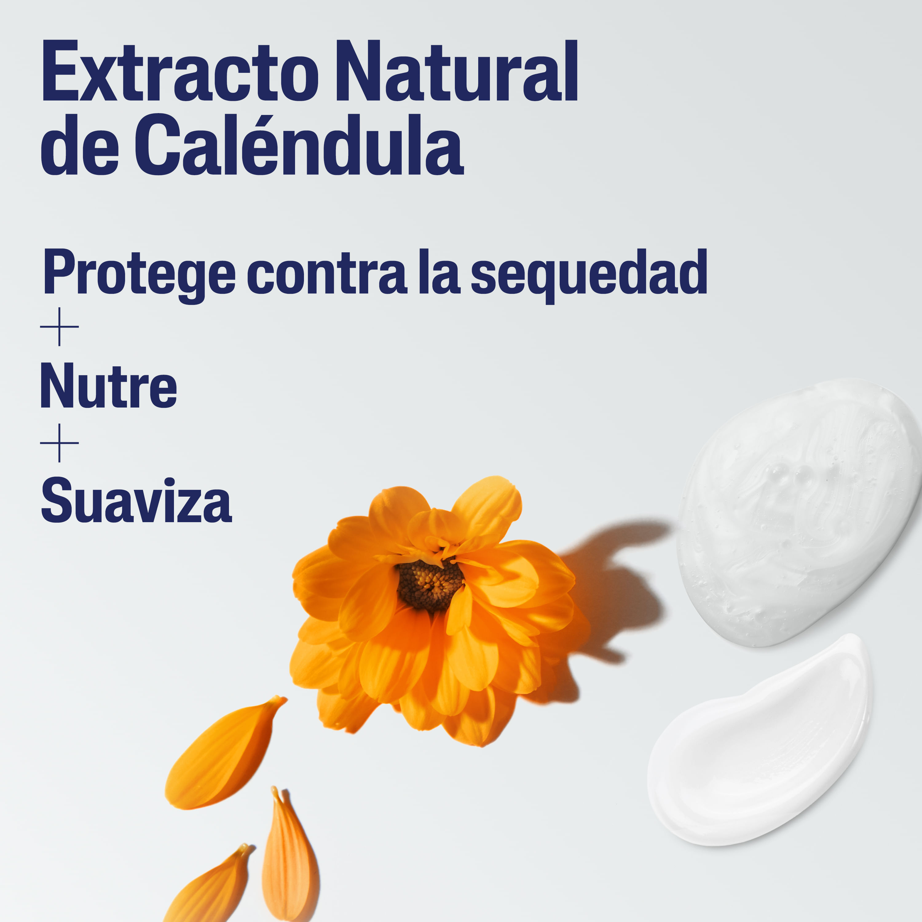 Loción Hidratante Baby - Cetaphil img #5