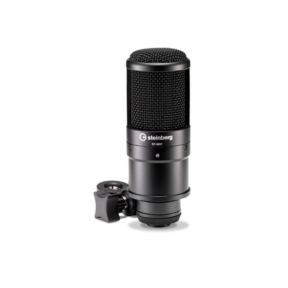 KIT DE GRABACIÓN STEINBERG IXO22 img #2