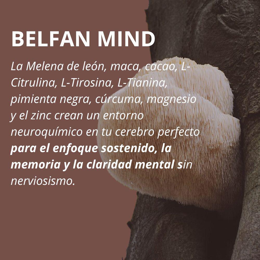 Belfan Mind img #4