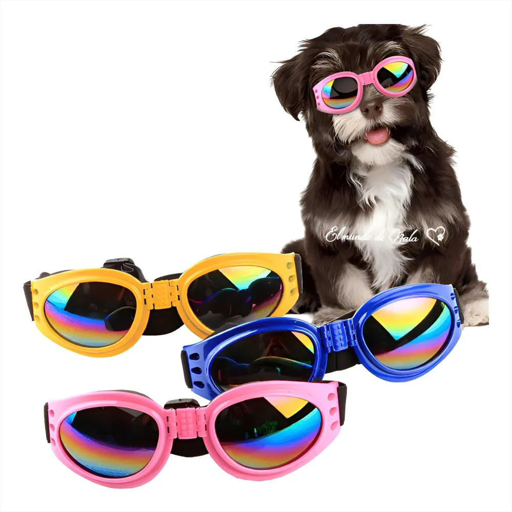 Gafas Tornasol Moda Mascotas img #1