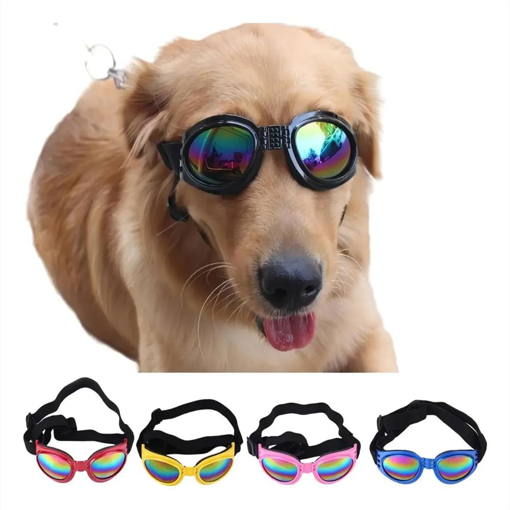 Gafas Tornasol Moda Mascotas img #3