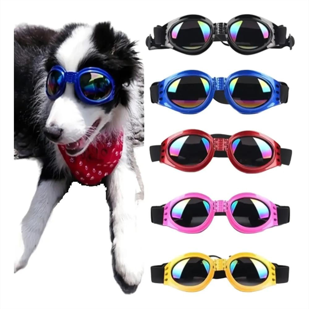 Gafas Tornasol Moda Mascotas img #4
