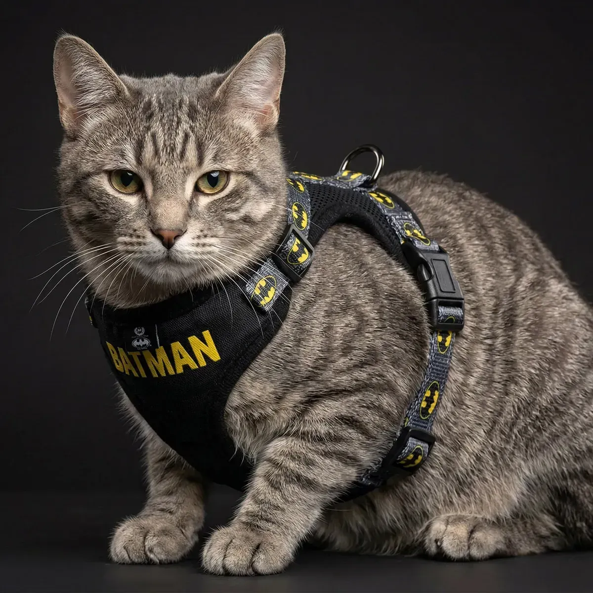 Pechera para Mascota  Batman img #5