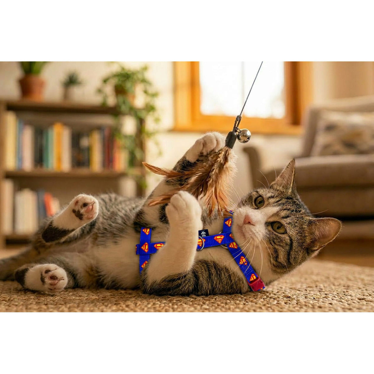 Arnes para Mascota  Superman img #5