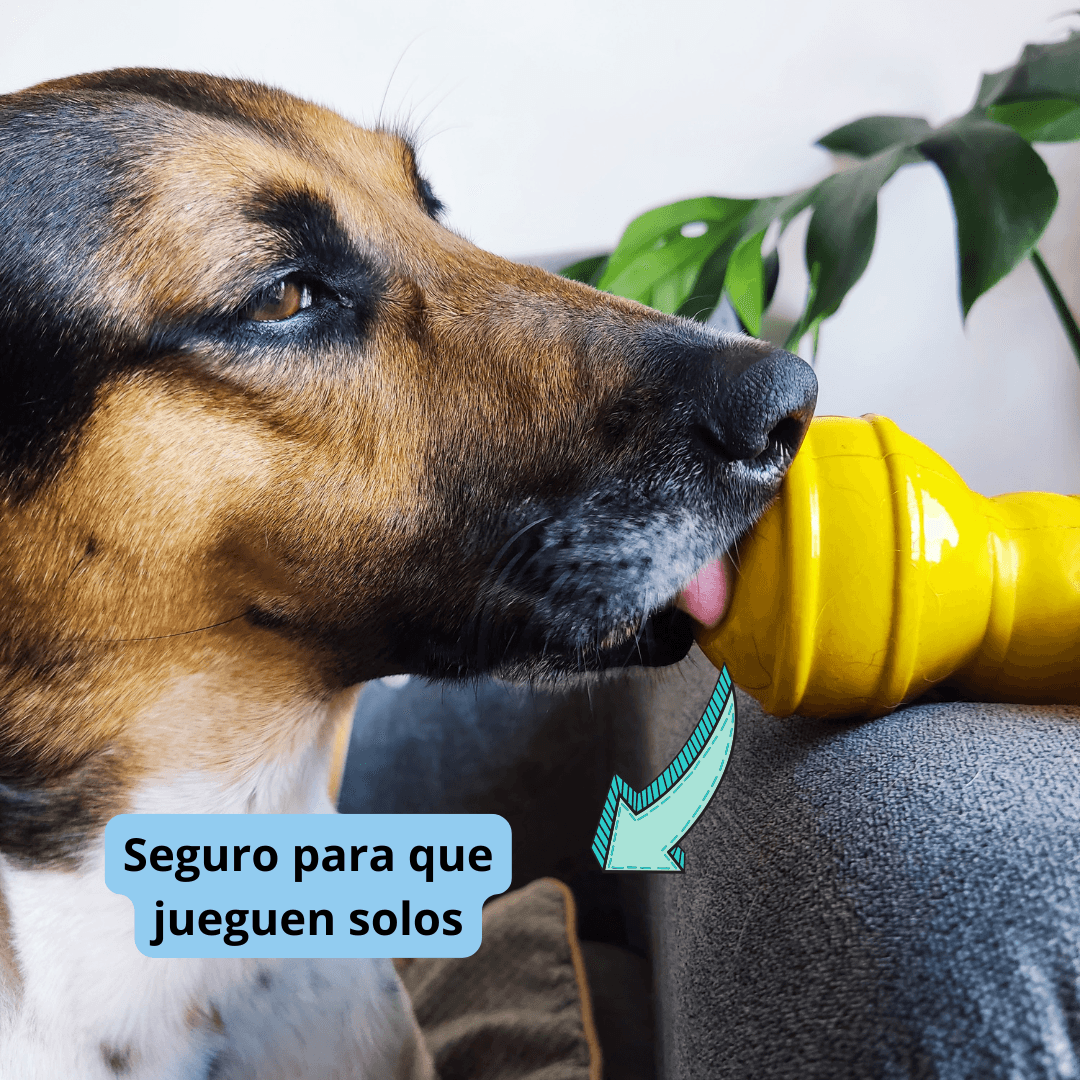 Juguetes Para Perro: Kit De 3 Juguetes Premium img #5