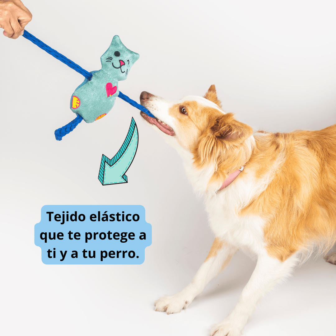 Juguetes Para Perro: Kit De 3 Juguetes Premium img #2