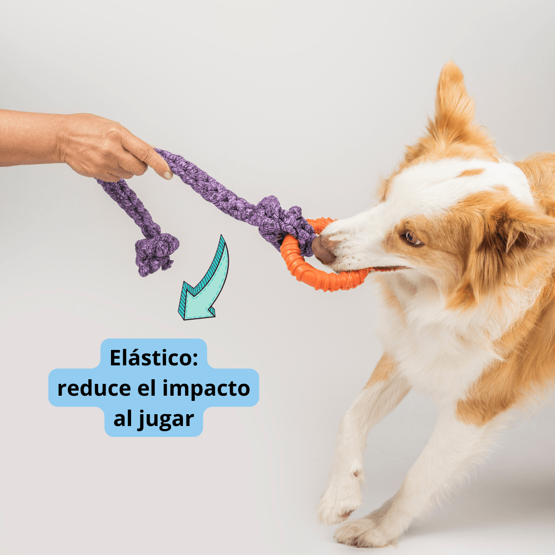 Kit Juguetes Para Perro: 2 Peluches + Juguete Elástico img #4