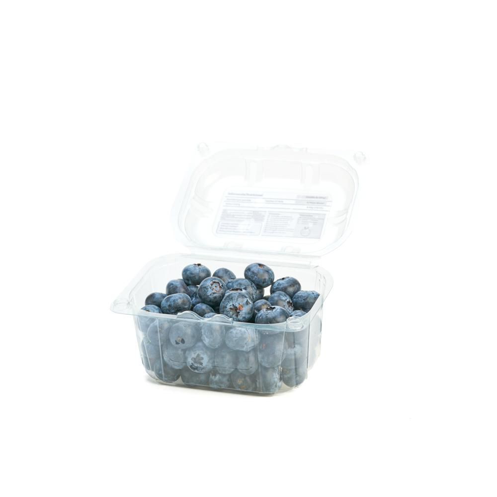 Arandanos  250  gr img #2