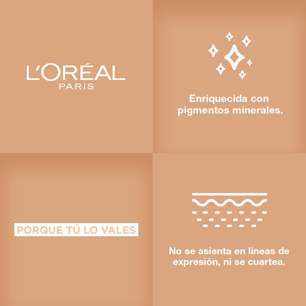Polvo LOREAL PARIS True Match (9.5  gr) img #6
