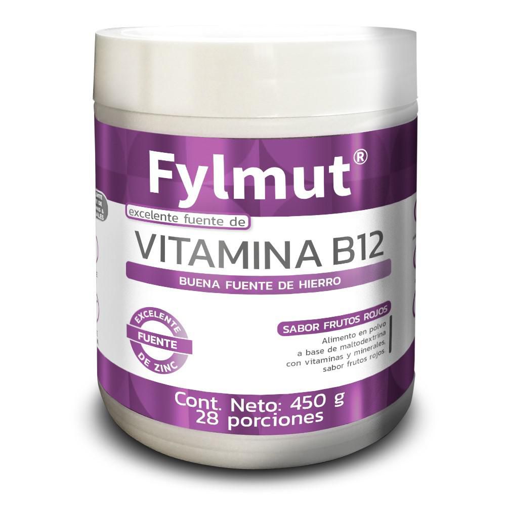 Alimento en polvo FYLMUT con B12 sabor frutos rojos (450  gr) img #1