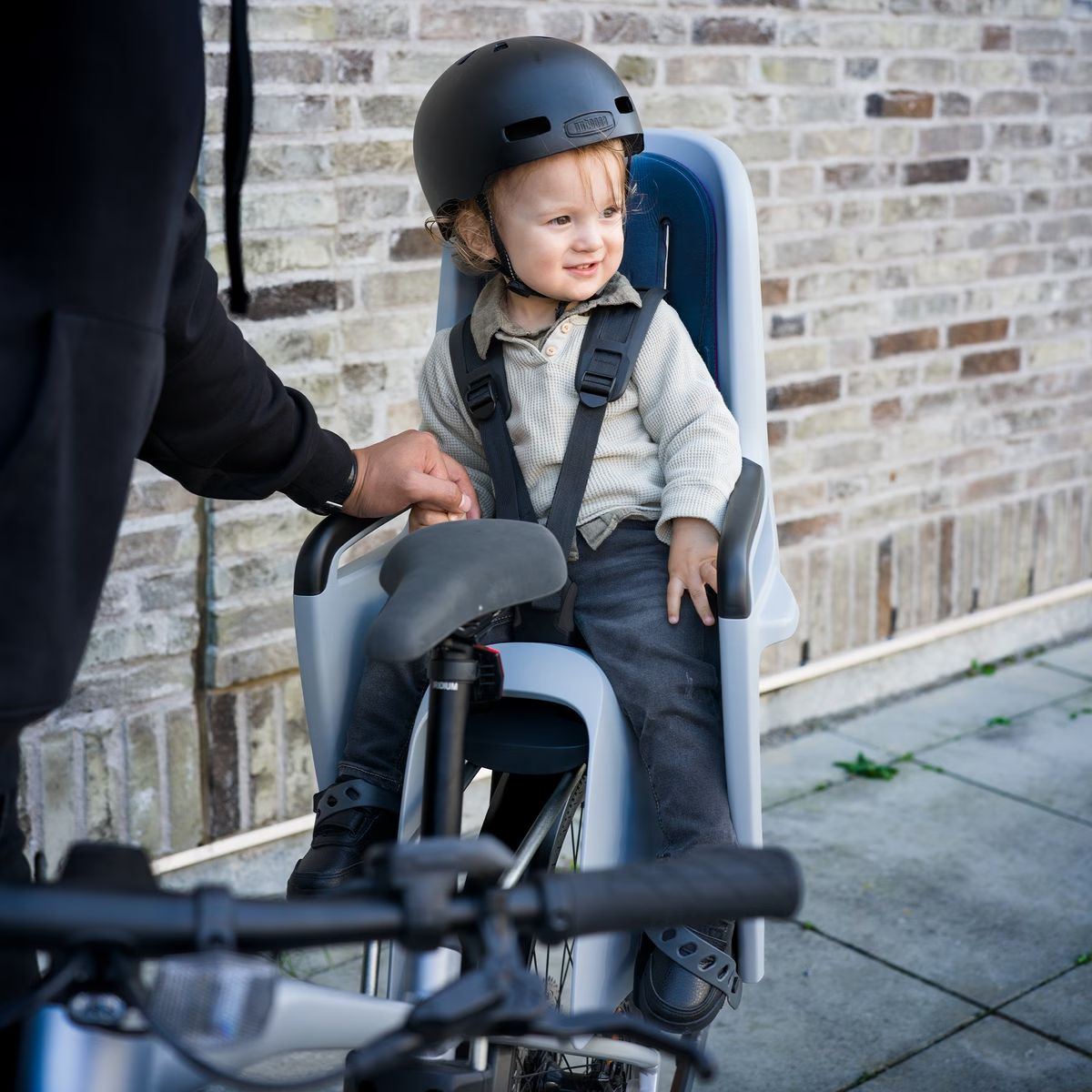 Silla Infantil para Marco de Bicicleta Thule RideAlong 2 img #6