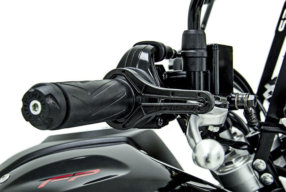 Control de Velocidad Crucero FP Moto img #3