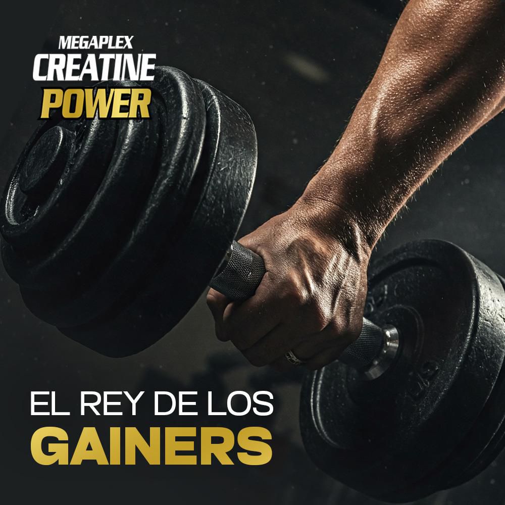 Proteína MEGAPLEX Creatine Power (4545  gr) img #5
