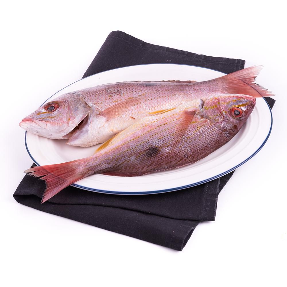 Pargo platero o lunarejo  fresco img #1