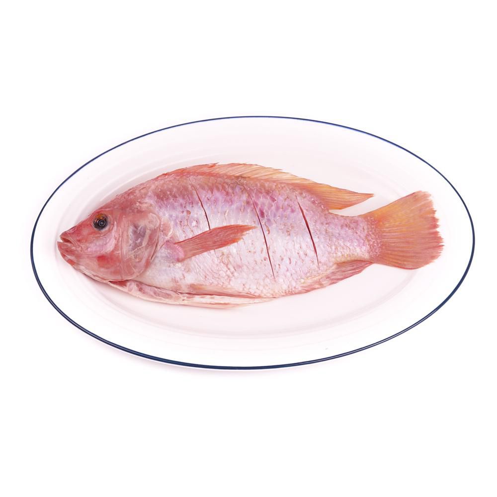 Pargo grande  refrigerado img #1