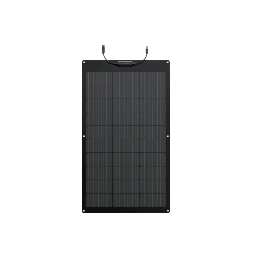 Panel Solar Ecoflow 100W img #2