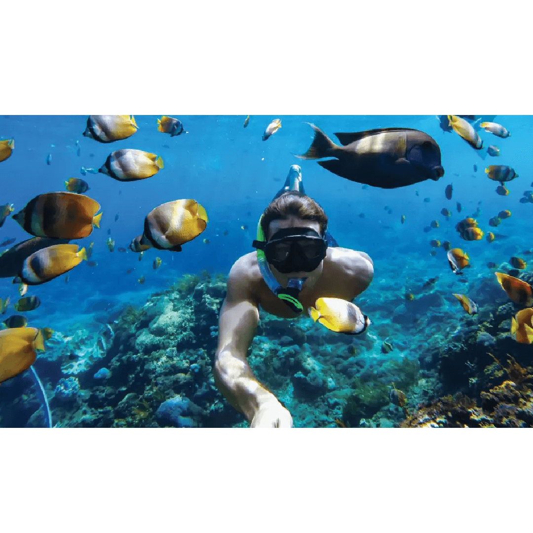Carcasa Protectora GoPro Hero img #4