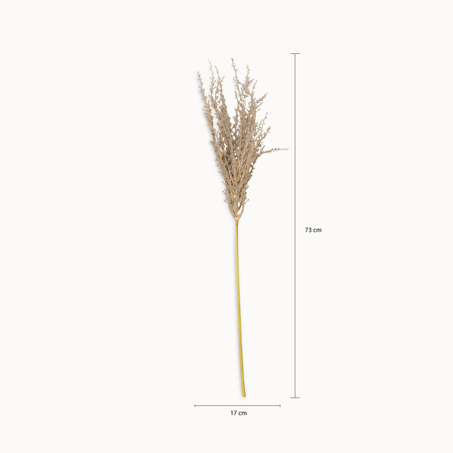 Chamizo 74cm img #2