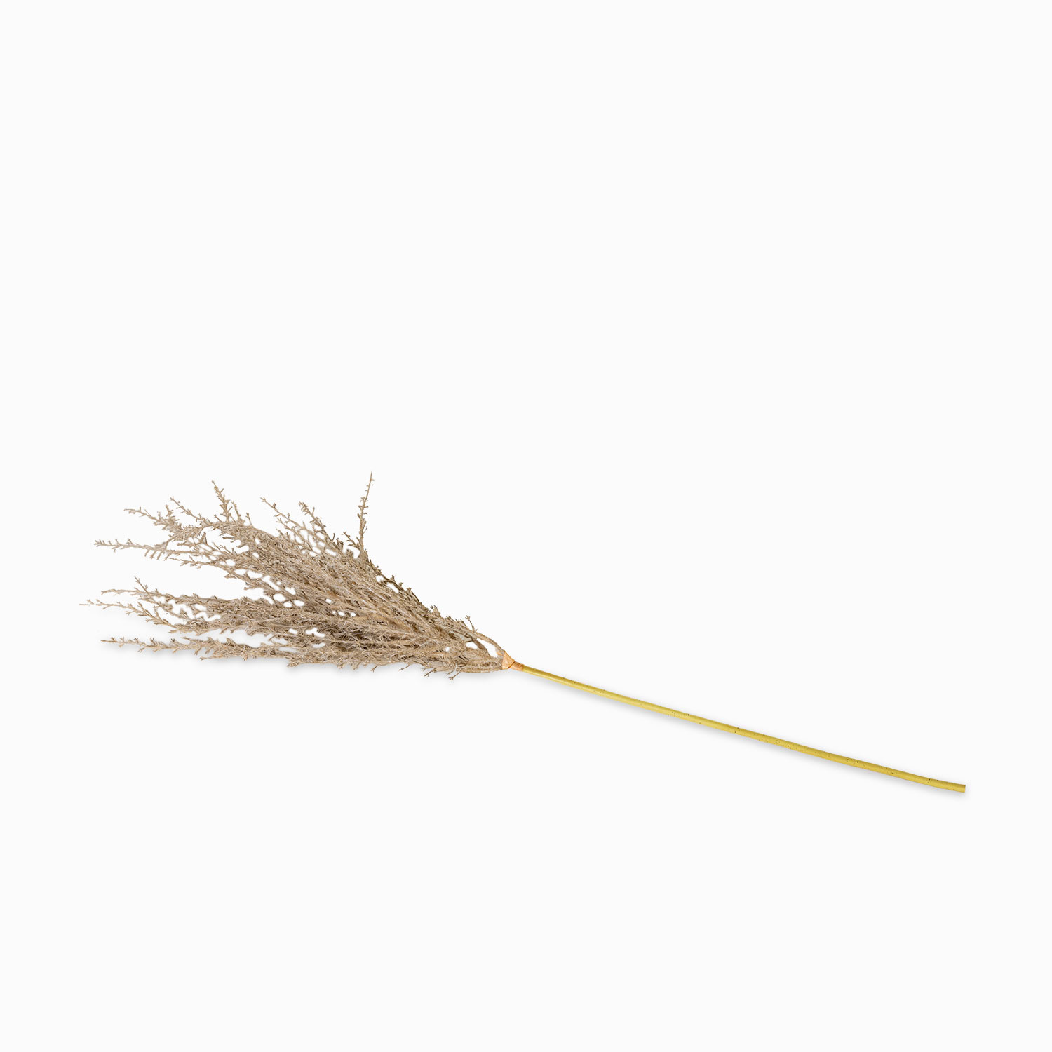 Chamizo 74cm img #1