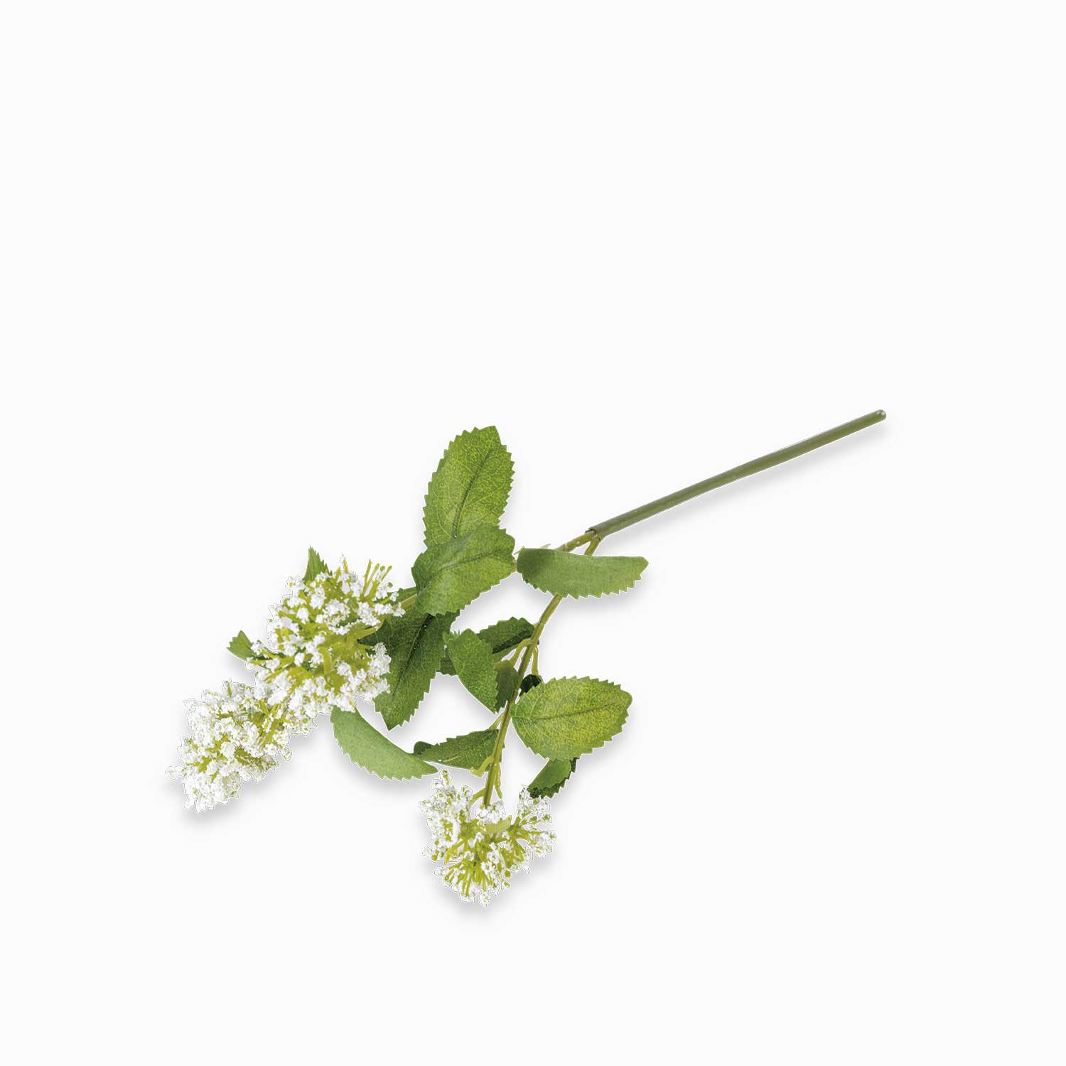 Flor de tallo blanca img #1