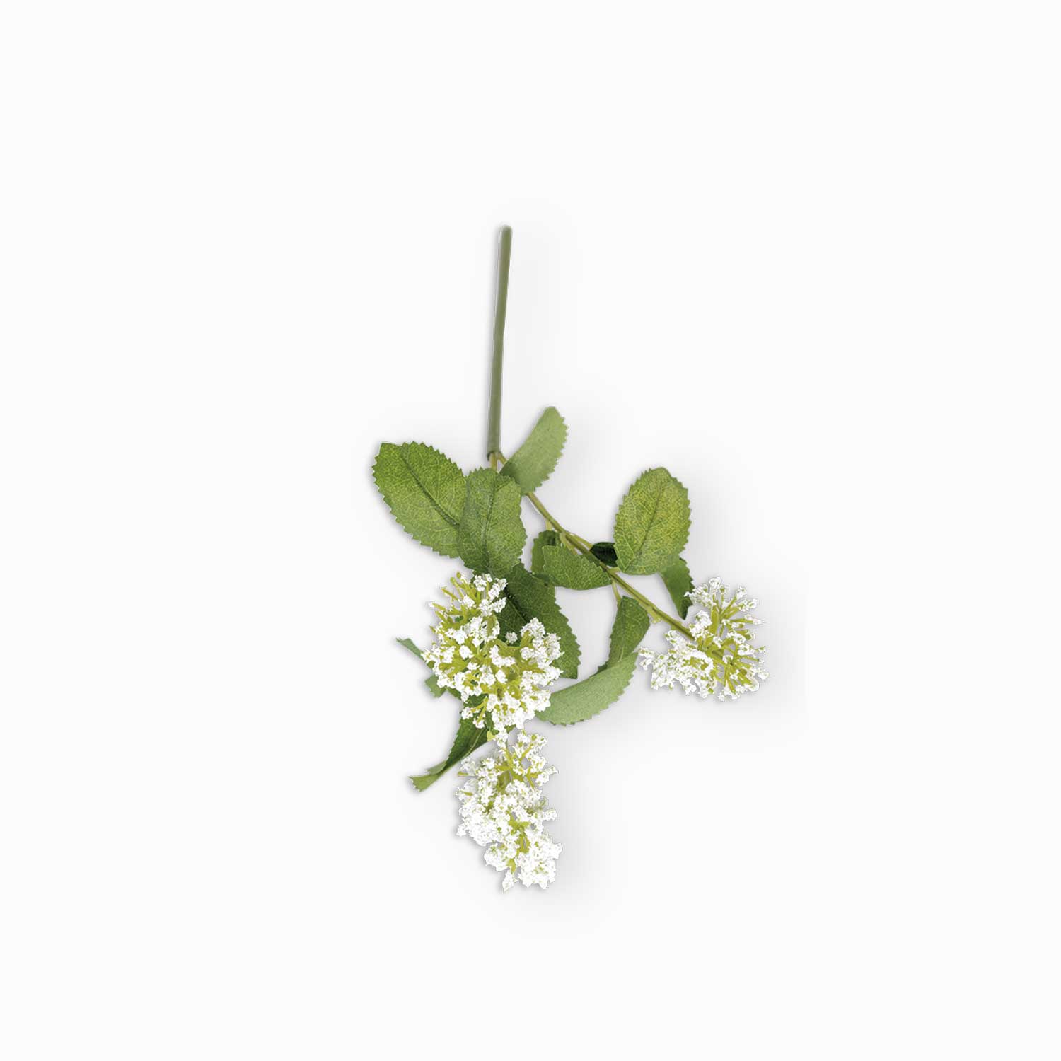 Flor de tallo blanca img #3