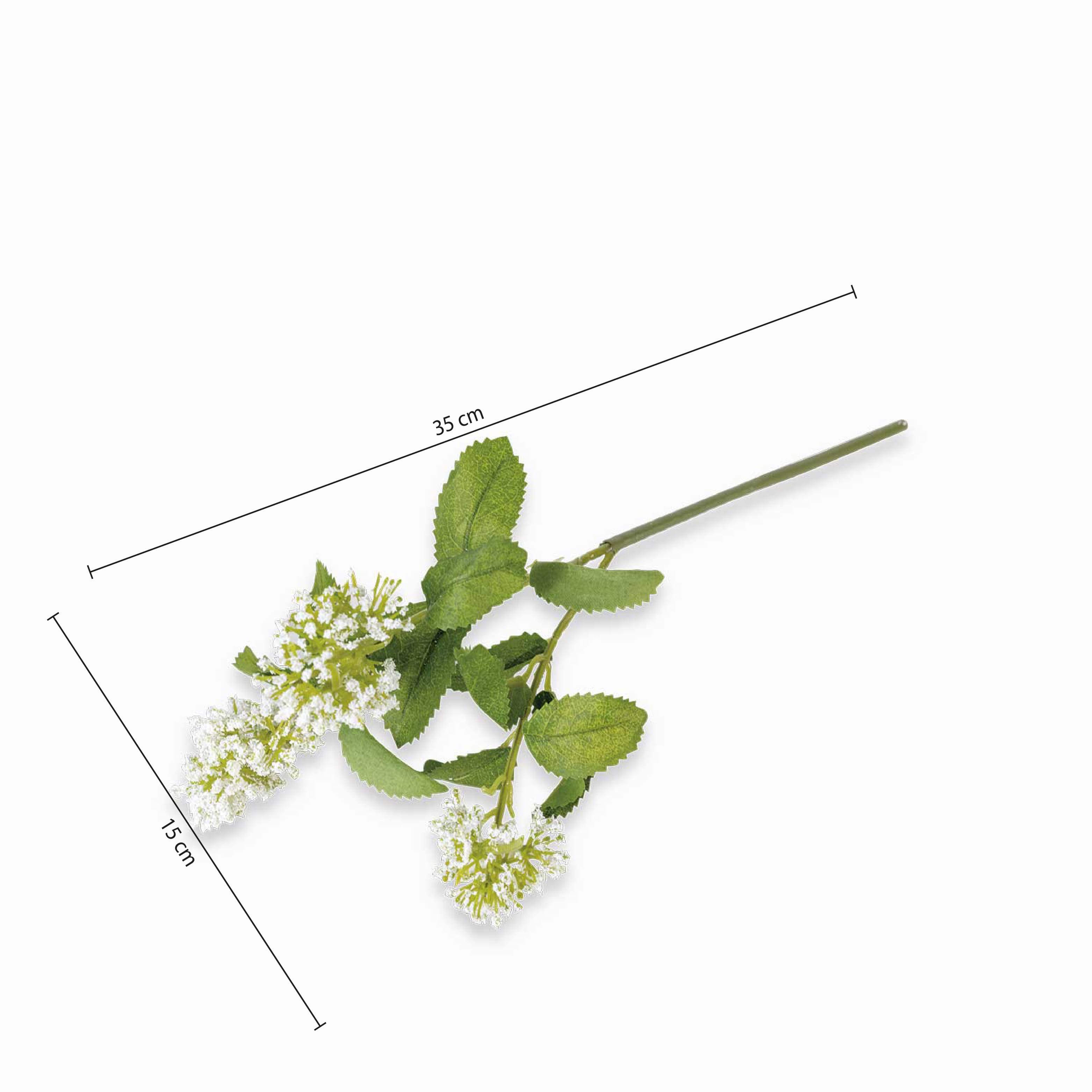 Flor de tallo blanca img #2