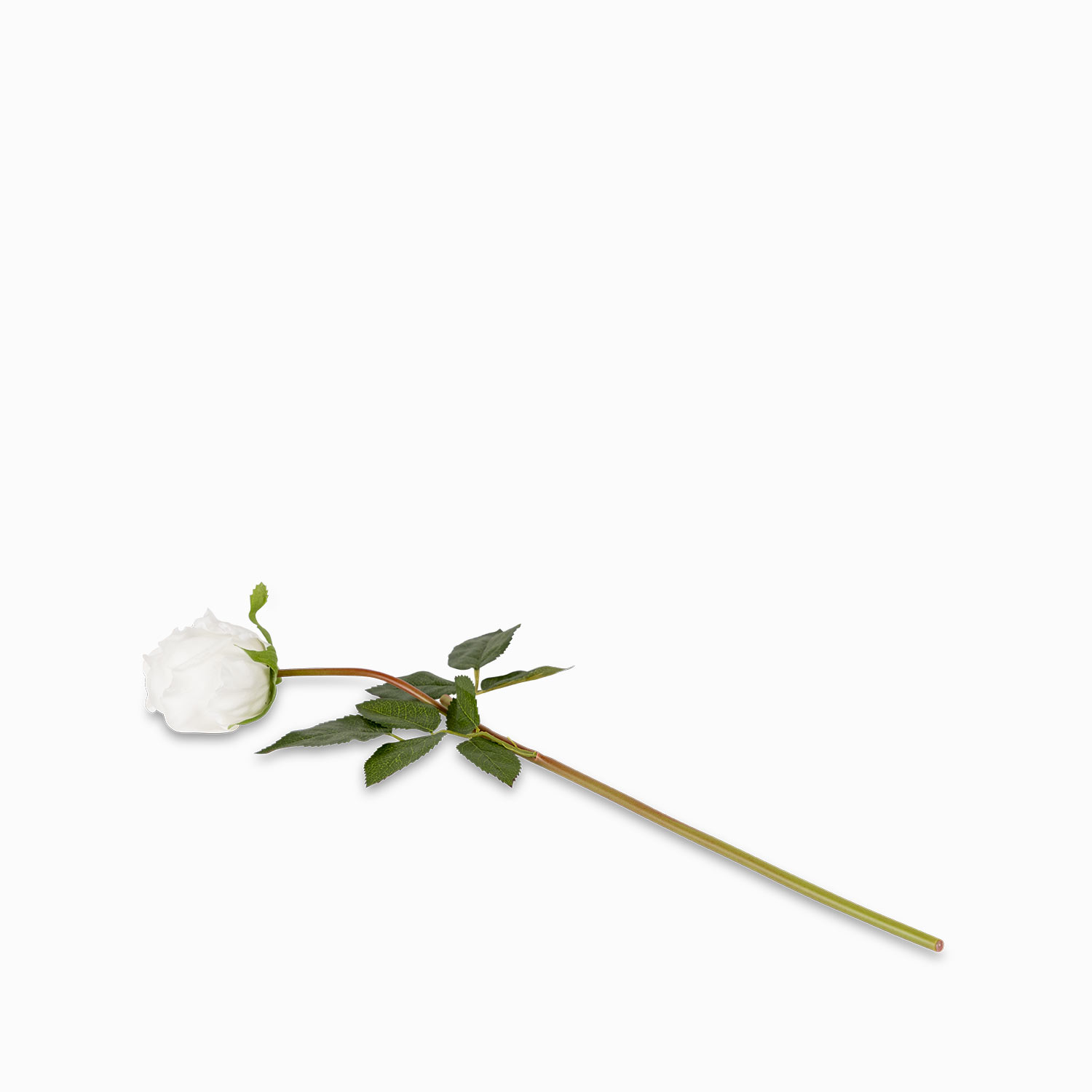 Rosa blanca 43cm img #2