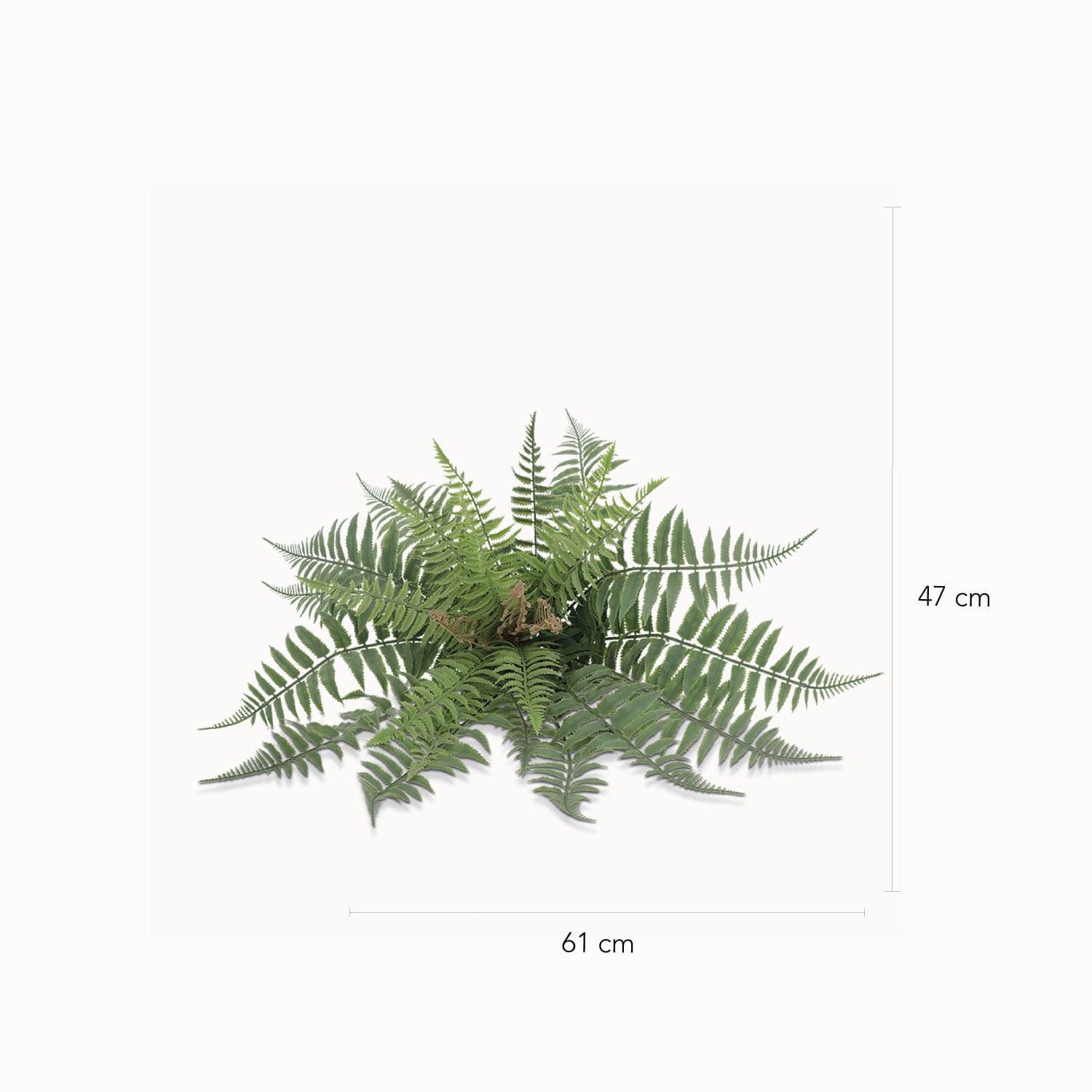 Helecho Florecido 47cm img #2