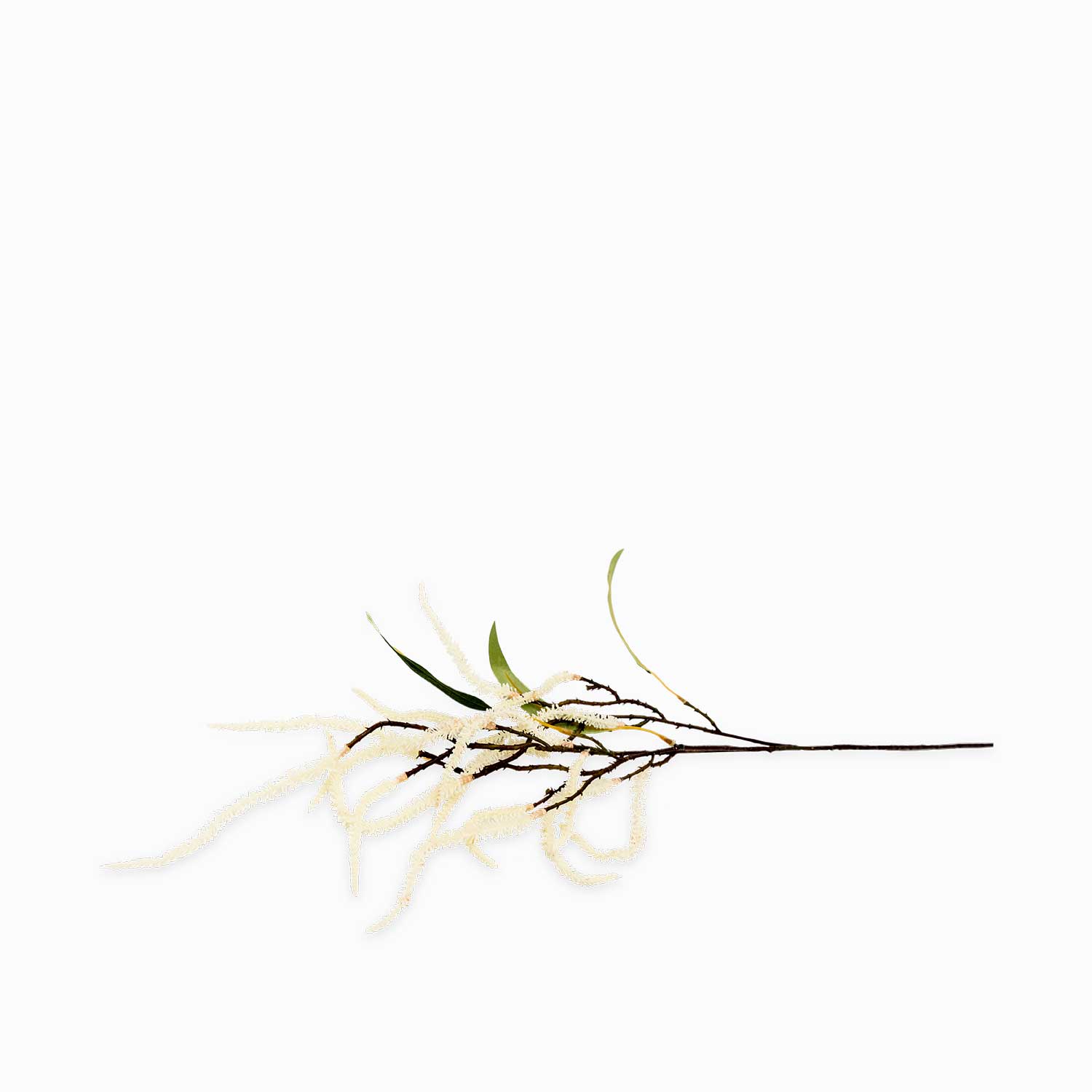 Rama acacia blanca 85 cm img #1