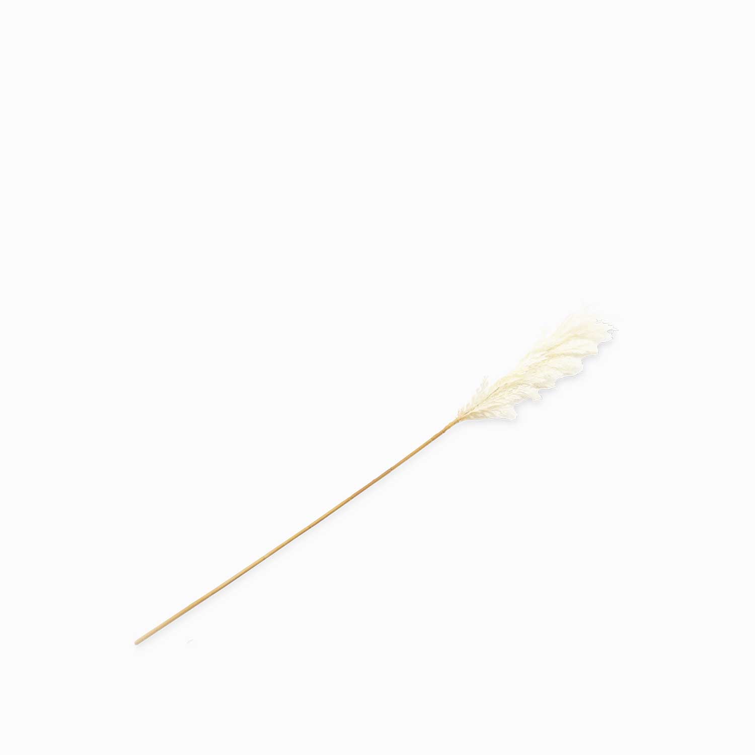 Trigo crema img #1