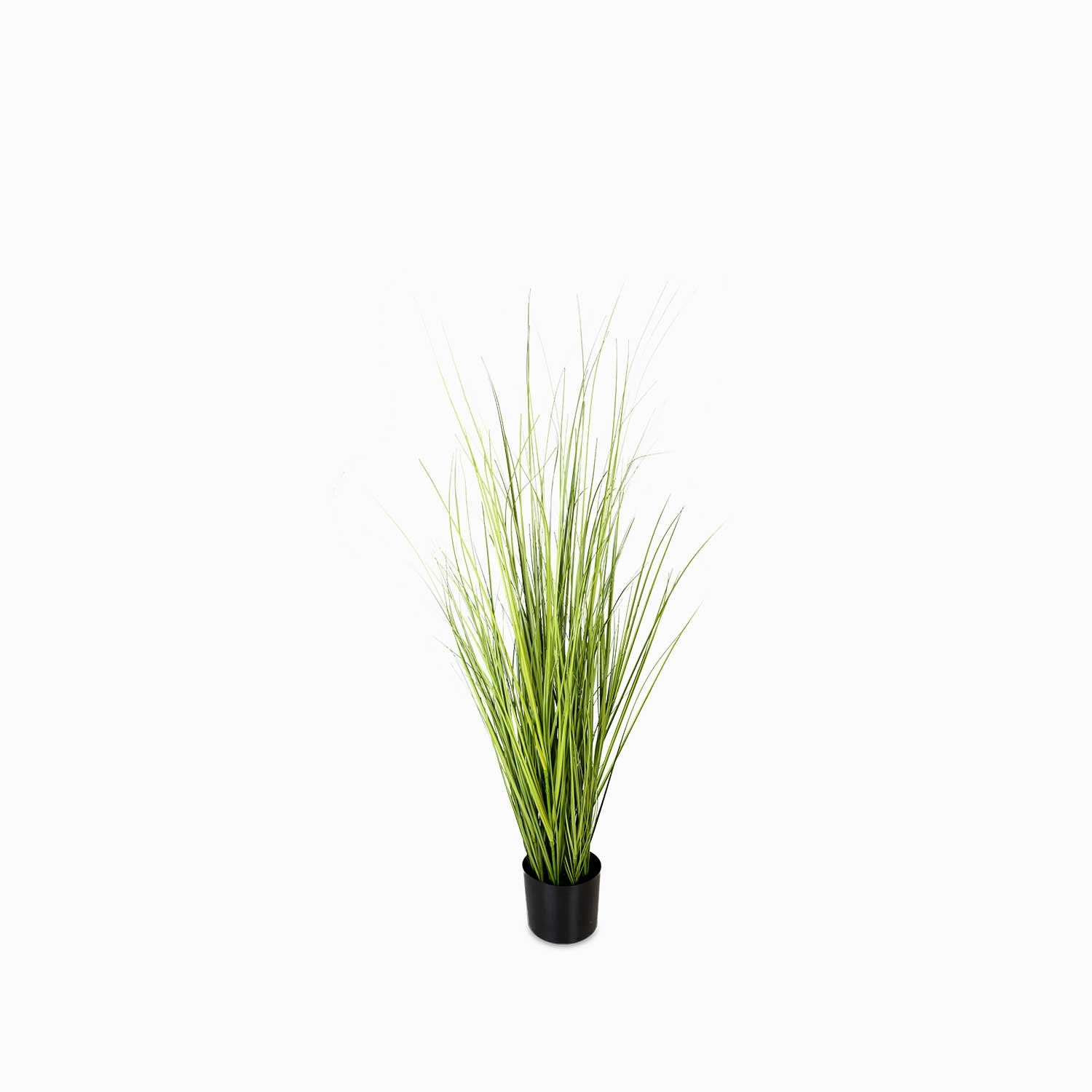 Planta pampas 120cm img #1