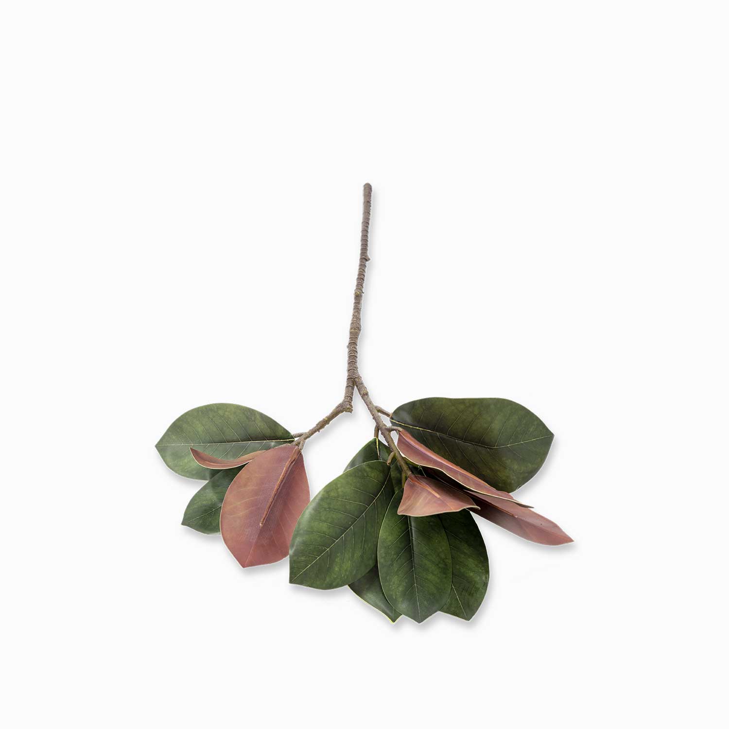 Rama Magnolia 68 cm img #1