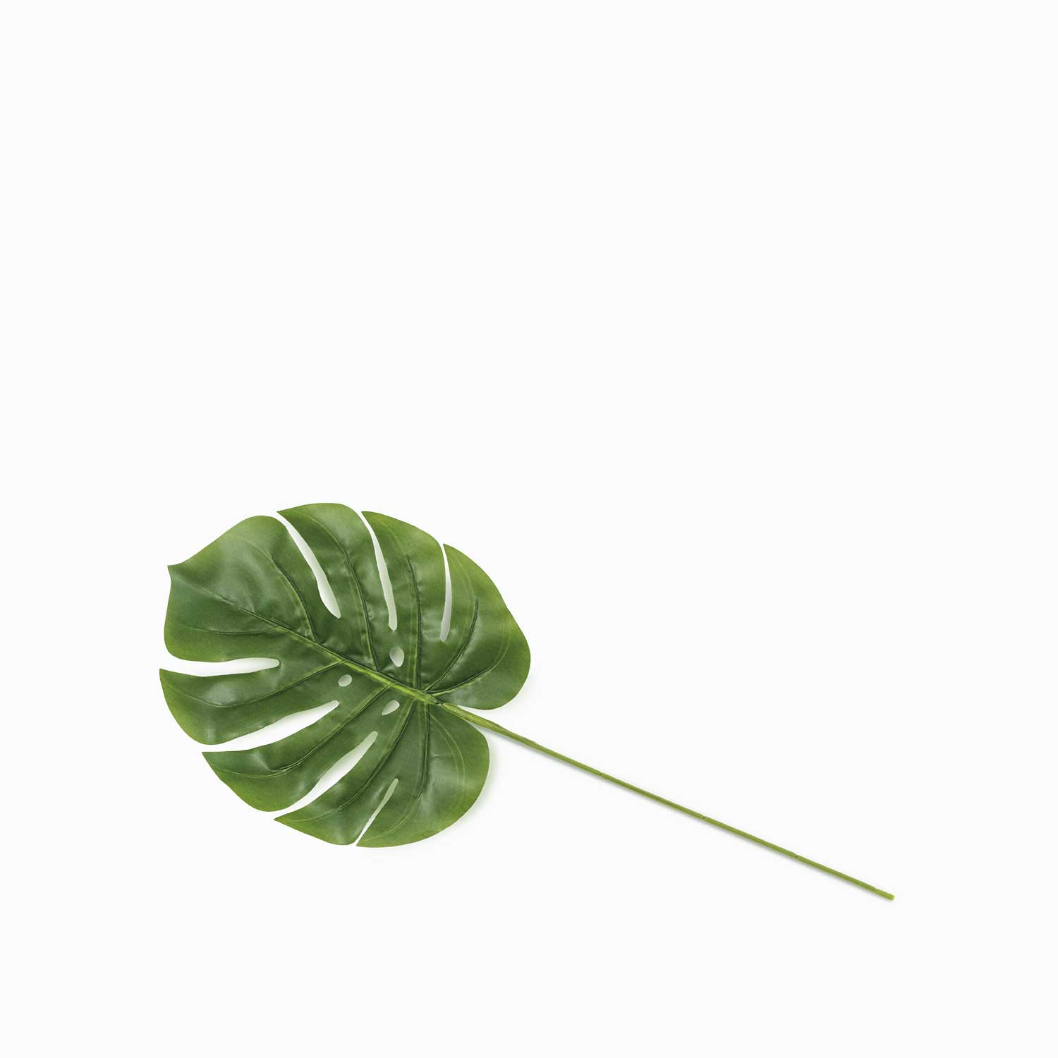 Mini hoja monstera img #1