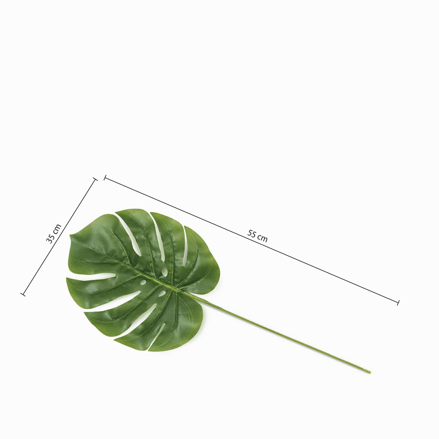 Mini hoja monstera img #2