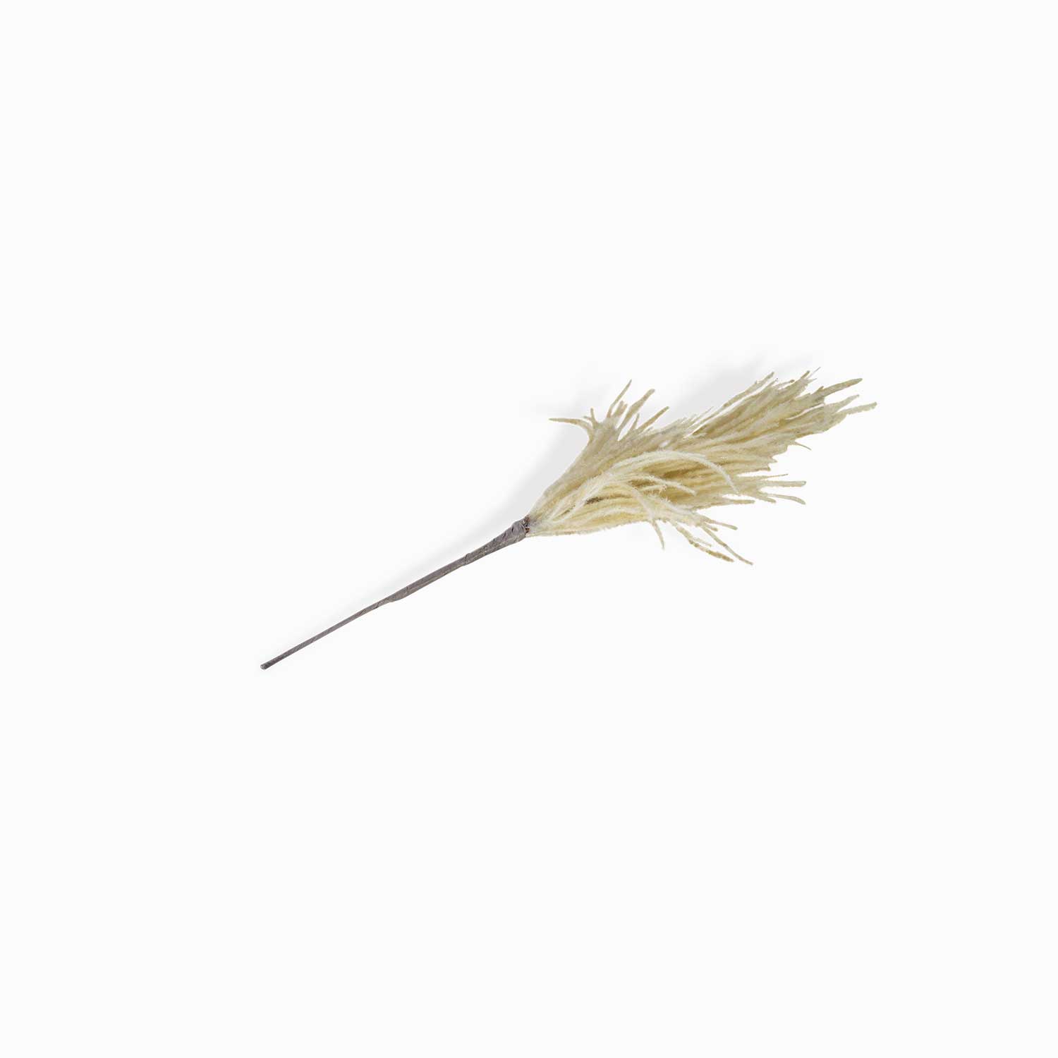 Junco crema img #1