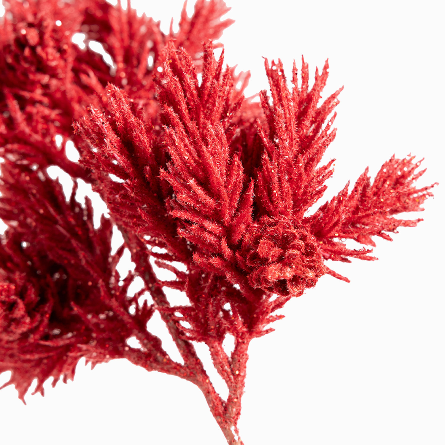 Hojas de pino rojas img #3