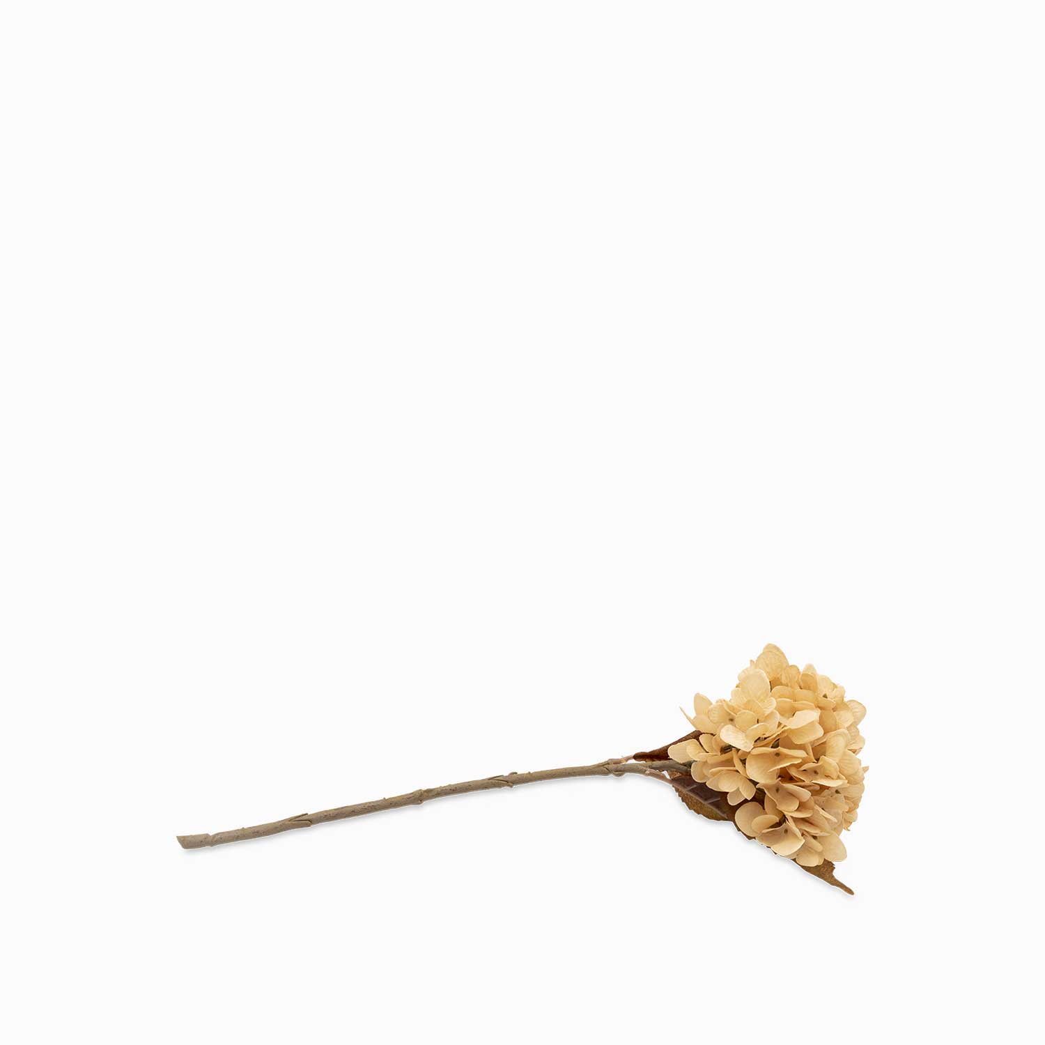 Hortensia amarilla 43cm img #1