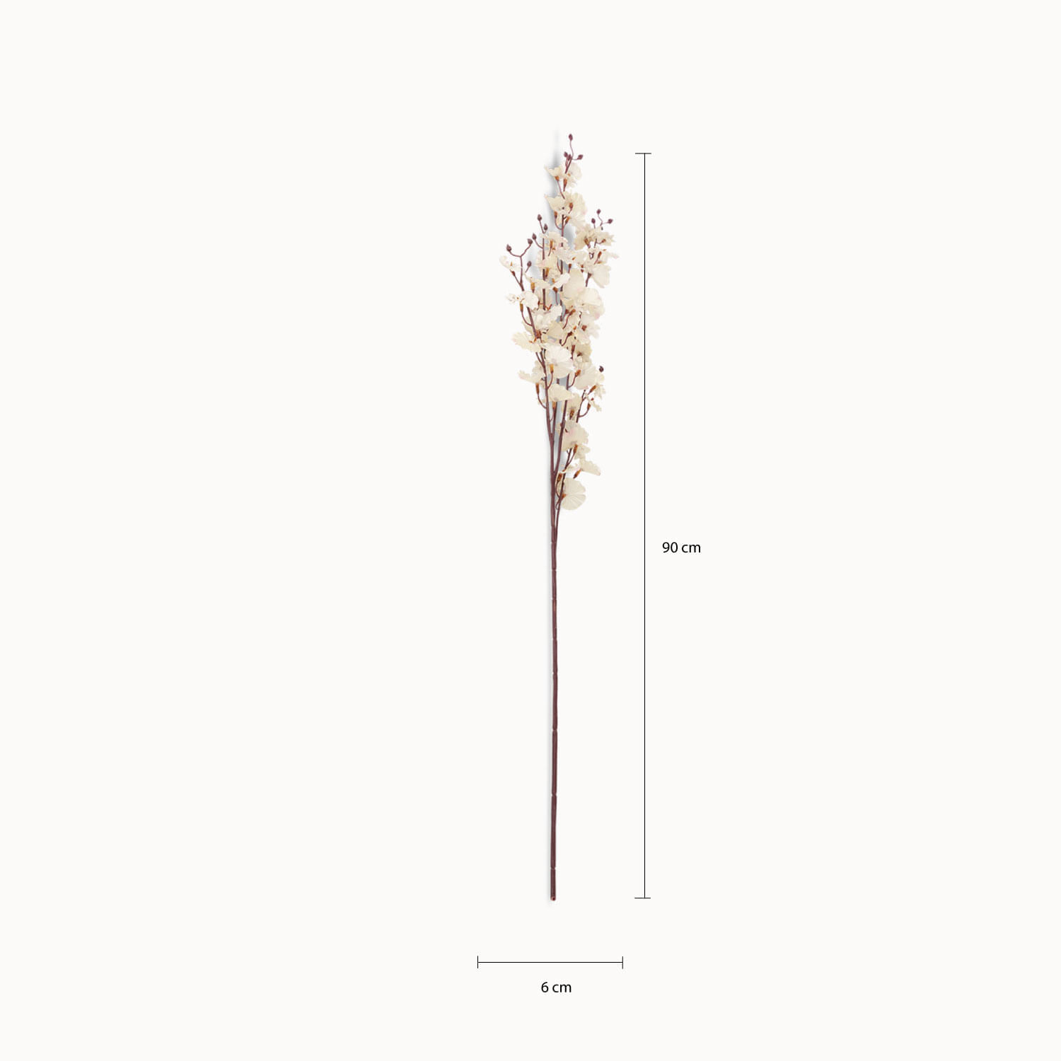 Orquídea Danzante Blanca img #3