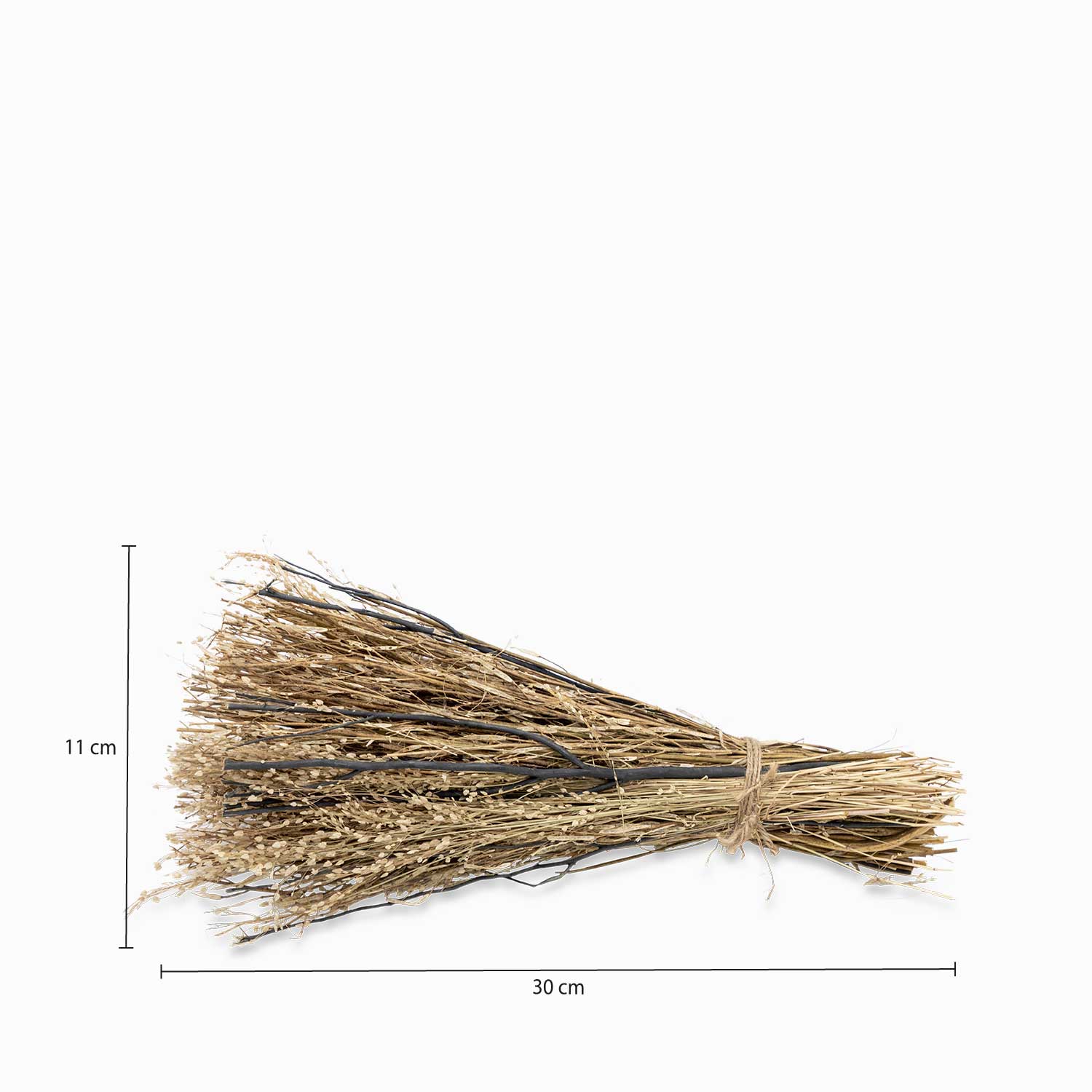 Racimo coco nucifera img #3