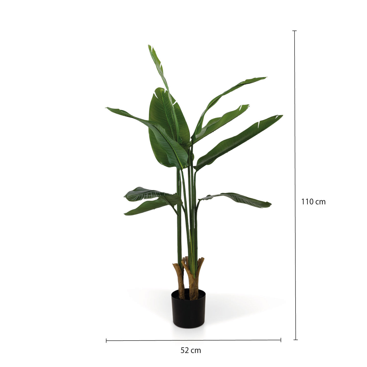 Planta Paraíso 110 cm img #2