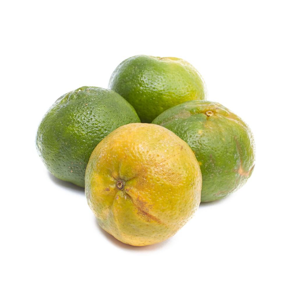Mandarina Comun. img #1