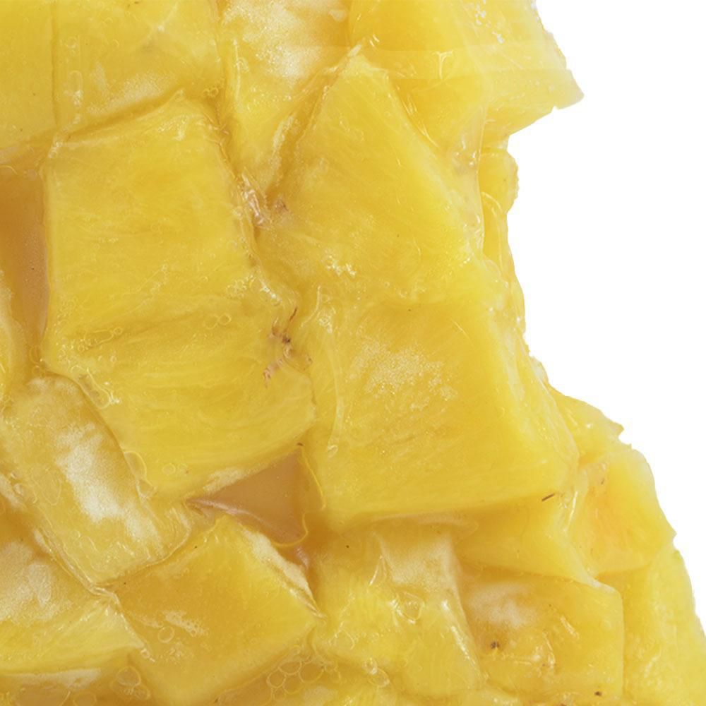 Pina Congelada FRUTINAL 500  gr img #2
