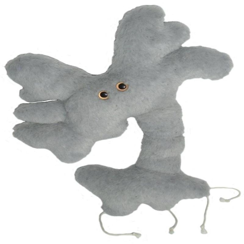 peluche neurona