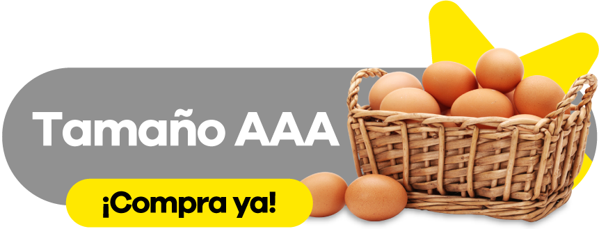 Tamaño AAA